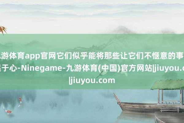 九游体育app官网它们似乎能将那些让它们不惬意的事情记起于心-Ninegame-九游体育(中国)官方网站|jiuyou.com